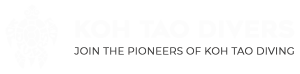 Koh Tao Divers